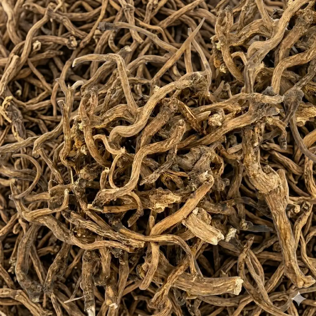 Dandelion-Root-Pathri